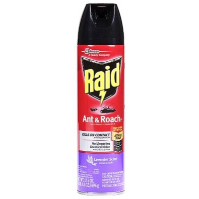 RAID ANT & ROACH KILLER OUTDOOR FRESH SCENT 17.5 OZ 1CT