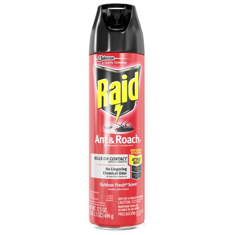 RAID ANT & ROACH KILLER OUTDOOR FRESH SCENT  17.5 OZ 1CT